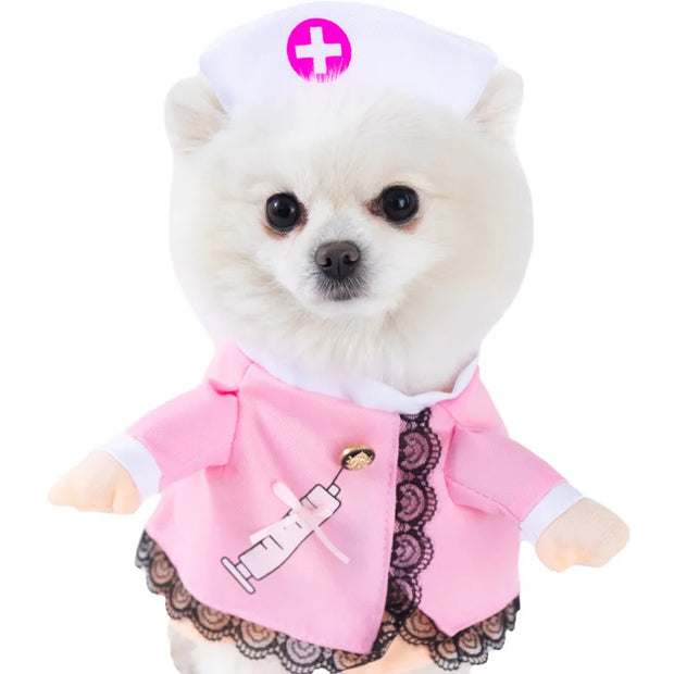 Small dog wearing a pink Halloween Bat Skeleton Costume with a white hat on a white background