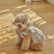 Small dog wearing a Elegant Lace Pet Dress with Bow on a wooden floor