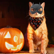 Cat wearing a Halloween Pet Avengers Mask Set and bandana next to a carved pumpkin on a dark background