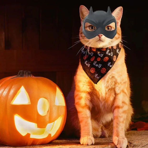 Cat wearing a Halloween Pet Avengers Mask Set and bandana next to a carved pumpkin on a dark background
