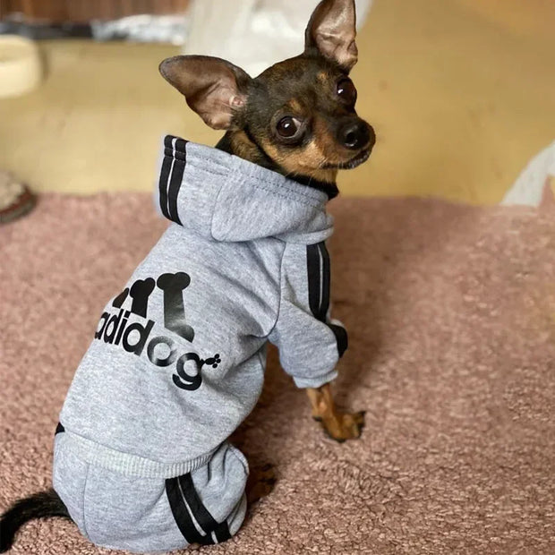 Dog wearing a gray Adidog Hoodie with 'adidog' branding on a carpeted floor.