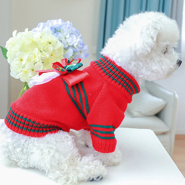 Small dog wearing a red Christmas Dog Sweater with green stripes and a bow, sitting on a white surface with flowers in the background.