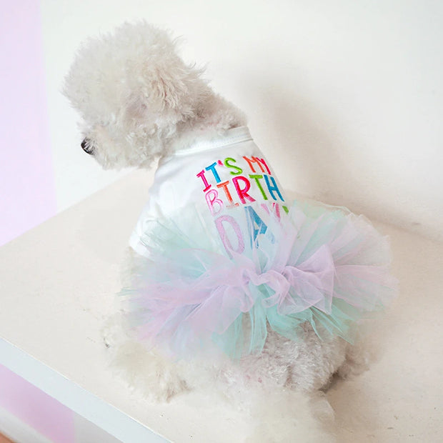 Dog wearing a colorful 'It's My Birthday' Birthday Tutu Dress on a light background