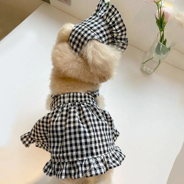 Dog wearing a black and white Checkered Pet Dress with Matching Bib on a light surface.