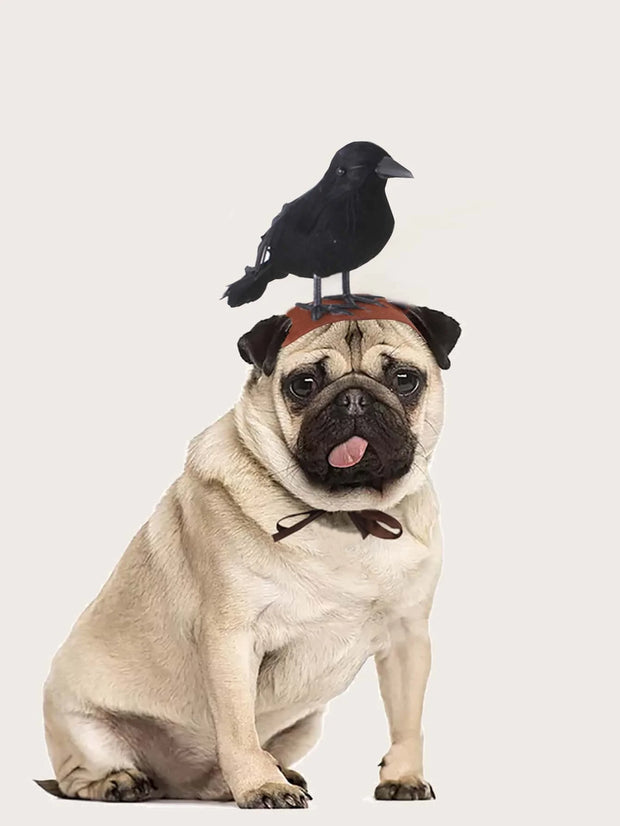 Pug dog 1pc-Halloween Crow themed Pet Headwear on its head against a light gray background