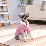 Small dog wearing a pink Corduroy Dog coat in a living room setting