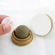 Hand holding a small container with a green Catnip Ball Toy inside on a white background