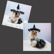 Two images of a small dog wearing a Halloween Witch Hat Collection and skirt.