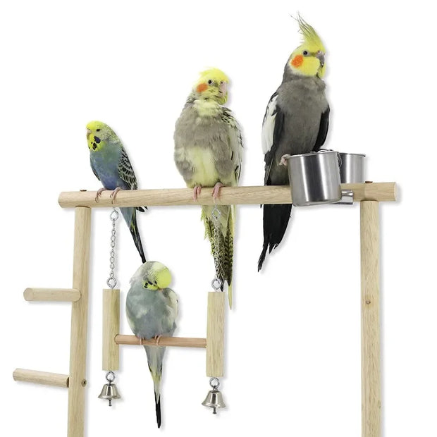 Five parakeets perched on a Wooden Bird Play Stand with metal bowls and hanging toys.