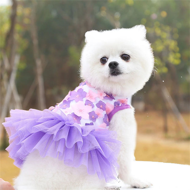 White dog wearing a purple Adorable Floral Dog Dress in an outdoor setting