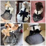 Collage of dogs wearing Elegant Black Bow Dress in various settings.