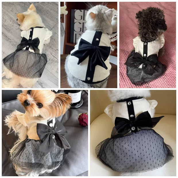 Collage of dogs wearing Elegant Black Bow Dress in various settings.