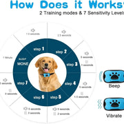 Diagram explaining a Anti-Barking Dog Collar dog training device with steps, modes, and sensitivity levels.