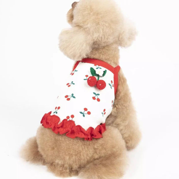 Dog wearing a white Cherry Dress for Dogs with red cherries and ruffles on a white background