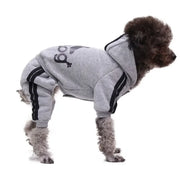 Dog wearing a gray Sporty Pet Hoodie Jumpsuit with black stripes on a white background