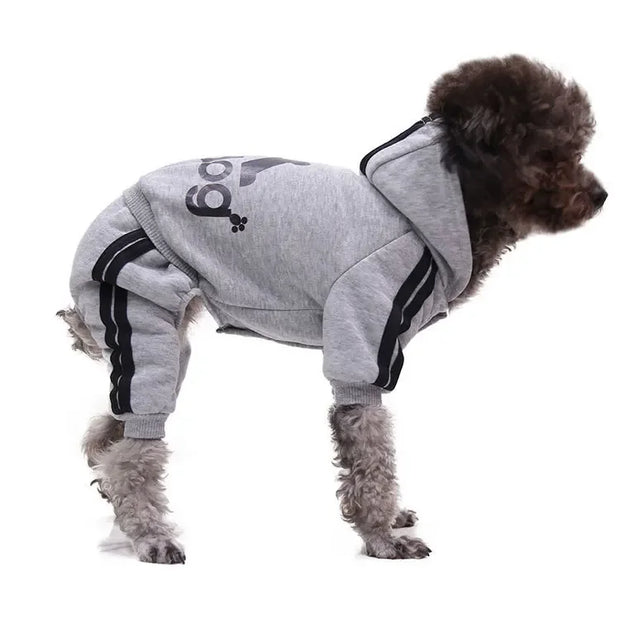 Dog wearing a gray Sporty Pet Hoodie Jumpsuit with black stripes on a white background