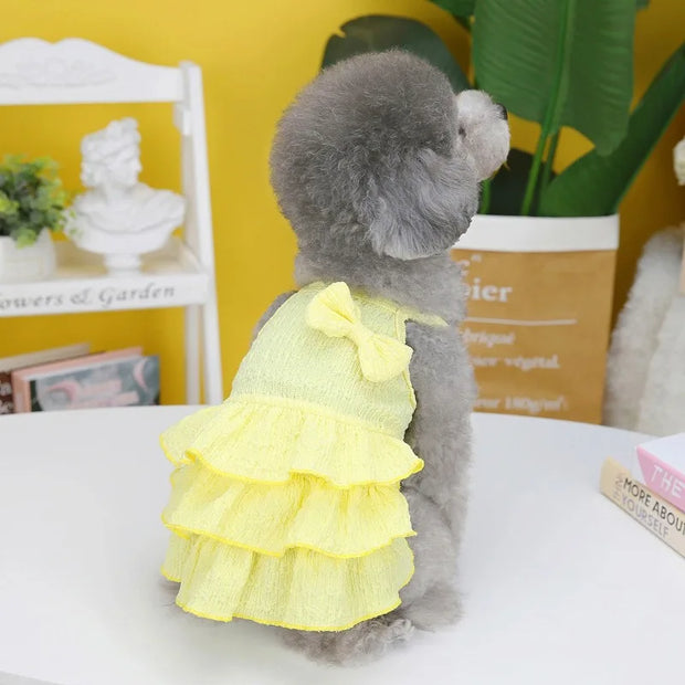 Small dog wearing a yellow Ruffle Layered Dress, standing on a white surface against a yellow wall.