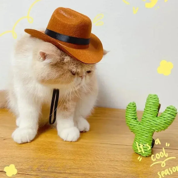 Cat wearing a brown Cowboy Hat Accessory with a green cactus toy on a wooden surface