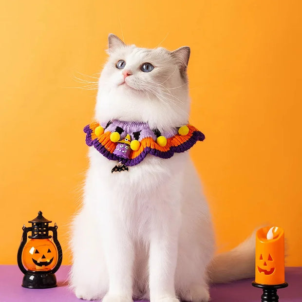 White cat wearing a colorful Halloween Knitted Collar with pumpkins and ghosts against an orange background.