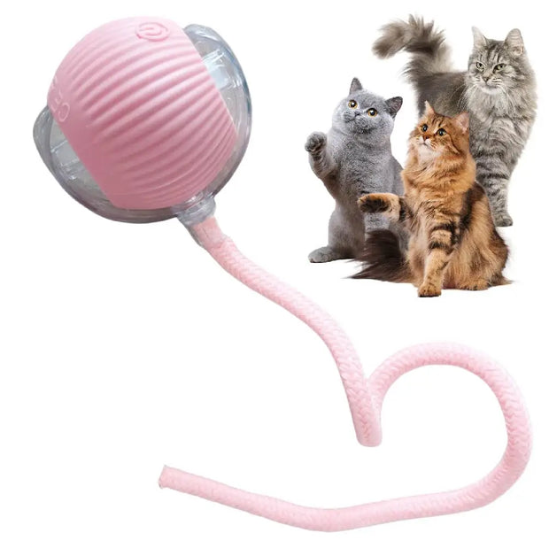 Pink Automatic Moving with LED Light Cat Toy Ball with a string and three cats on a white background