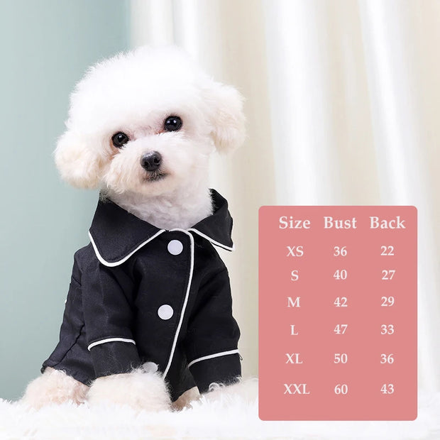 Small white dog wearing a black Elegant Pet Shirt with size chart on a light background