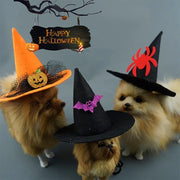 Three dogs wearing Halloween Witch Hat Collection with a 'Happy Halloween' sign in the background.
