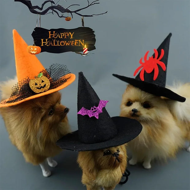 Three dogs wearing Halloween Witch Hat Collection with a 'Happy Halloween' sign in the background.