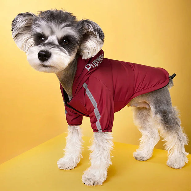 Dog wearing a Red Dog Winter Jacket with Hood with a brand logo on a yellow background