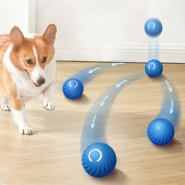 Dog playing with a set of blue Smart Interactive Dog Ball on a wooden floor.