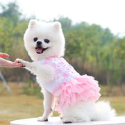 Small white dog wearing a pink Adorable Floral Dog Dress outdoors