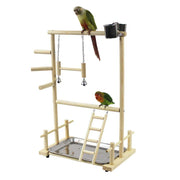 Wooden Bird Play Stand with birds on a white background