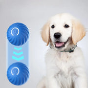 Dog with a blue electronic Smart Interactive Dog Ball on a light gray background