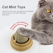 Cat playing with a mint Catnip Ball Toy, text about cat mint toys' benefits.