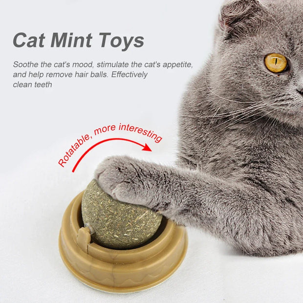 Cat playing with a mint Catnip Ball Toy, text about cat mint toys' benefits.