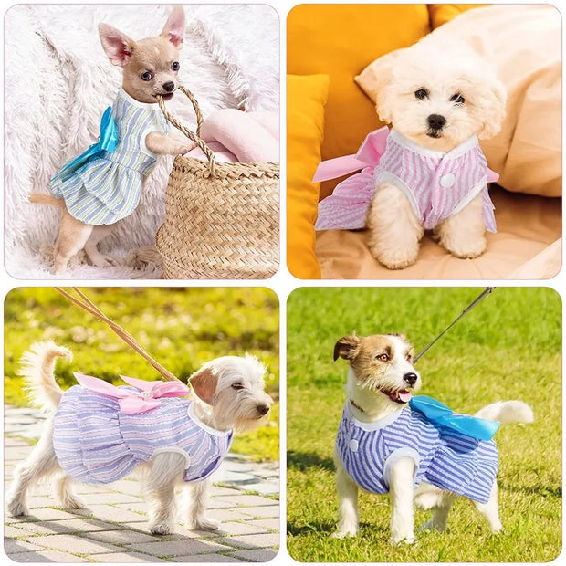 Four images of dogs wearing Summer Princess Dress in various settings.