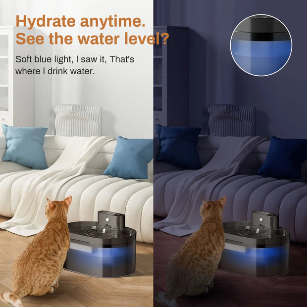 Cat interacting with  2.2L Automatic Cat and Dog Drinking Fountain in a living room setting, with text about water level visibility.