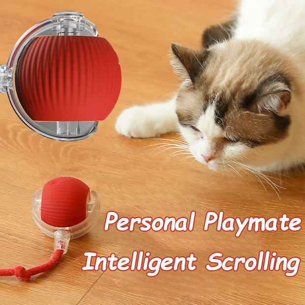 Cat playing with a red and clear Rechargeable pet Toy Ball with Mode and Obstacle Avoidance on a wooden floor