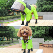 Dog wearing a green Dog Raincoat with Clear Hood and transparent helmet outdoors.