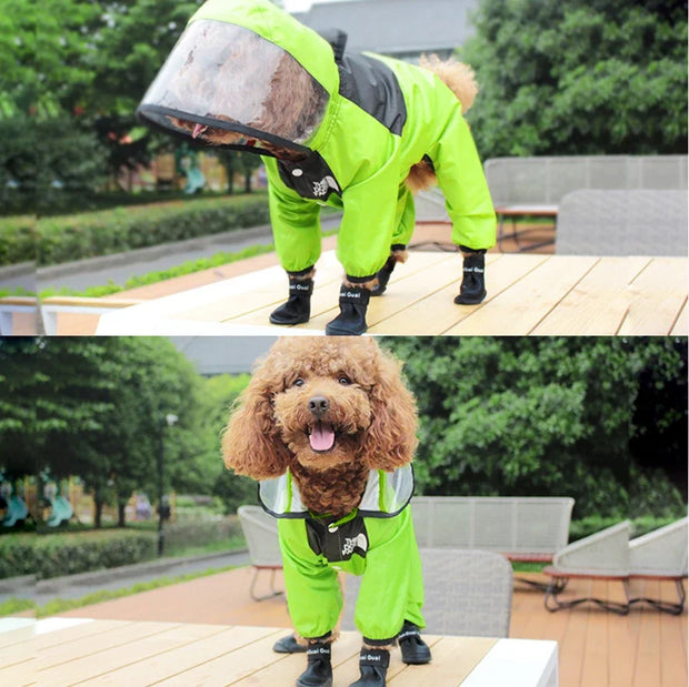 Dog wearing a green Dog Raincoat with Clear Hood and transparent helmet outdoors.