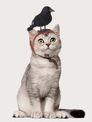 Cat wearing a 1pc-Halloween Crow themed Pet Headwear on it against a white background