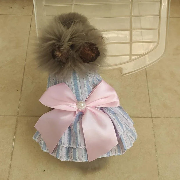 Small dog wearing a Summer Princess Dress with a large pink bow on a tiled floor.