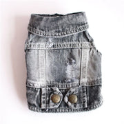 Cool Dog Jeans Jacket with button details on a white background