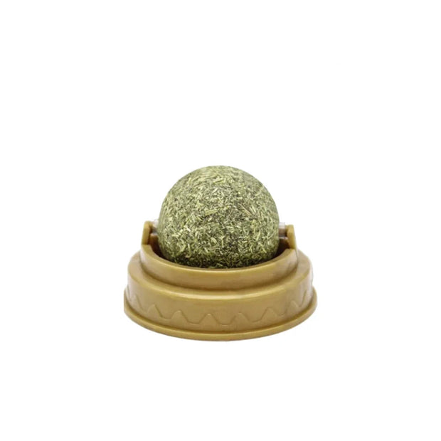 Green Catnip Ball Toy in a beige container with '1PCS' text in red on a white background