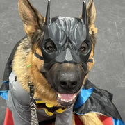 Dog wearing a Pet Avengers Mask Set against a gray background