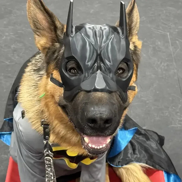 Dog wearing a Pet Avengers Mask Set against a gray background
