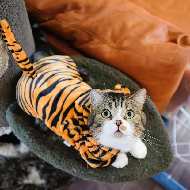 Cat peeking out from a tiger-striped Dinosaur Hoodie Costume tunnel on a green cushion
