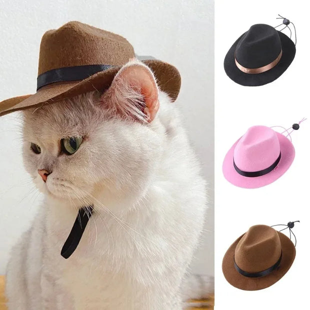 Cat wearing a brown Cowboy Hat Accessory with additional hats in different colors displayed.