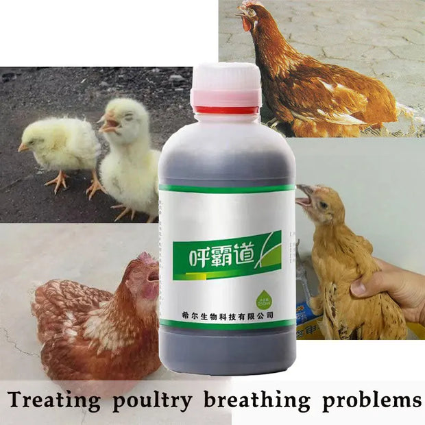 Huspeedba Poultry Respiratory Health Solution 250ml with chickens, treating poultry breathing problems.