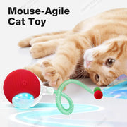 Cat playing with a Electric Rolling Cat Toy Ball on a white background