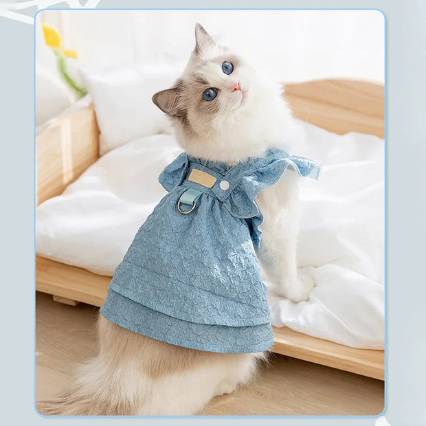 Cat wearing a blue Denim Dog Dress on a wooden floor with a white cushion in the background